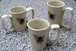fern-mug