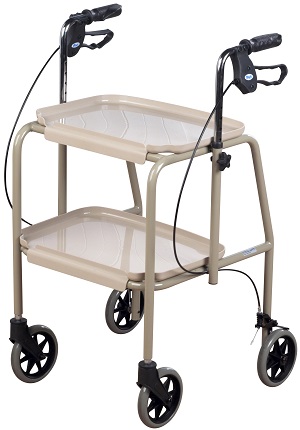 household-trolley-walker