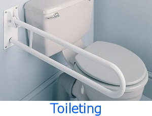toileting